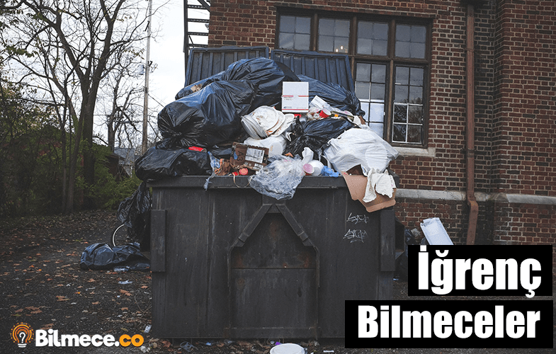 iğrenç bilmeceler