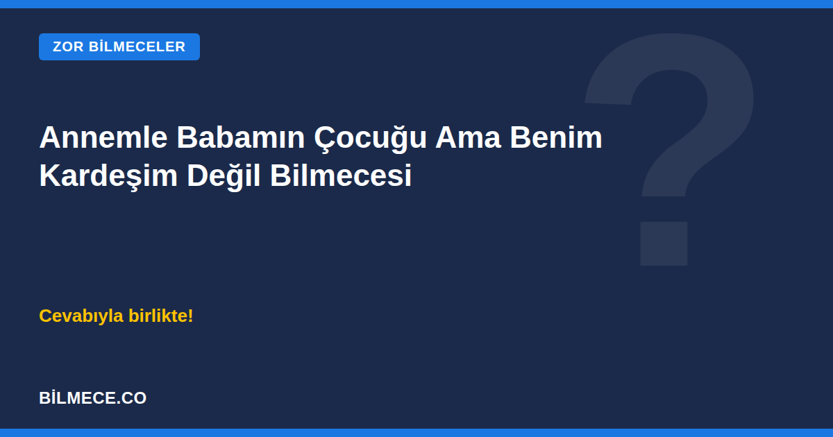 Annemle Babamın Çocuğu Ama Benim Kardeşim Değil Bilmecesi kapak görseli