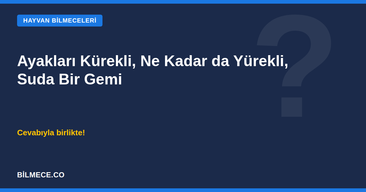 Ayakları kürekli, ne kadar da yürekli, suda bir gemi bilmecesi kapak görseli - Hayvan Bilmeceleri
