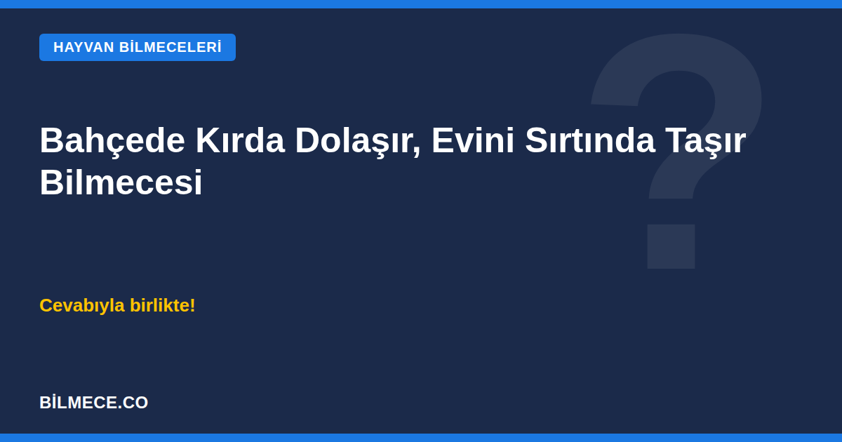 Bahçede kırda dolaşır, evini sırtında taşır bilmecesi kapak görseli - kaplumbağa bilmecesi