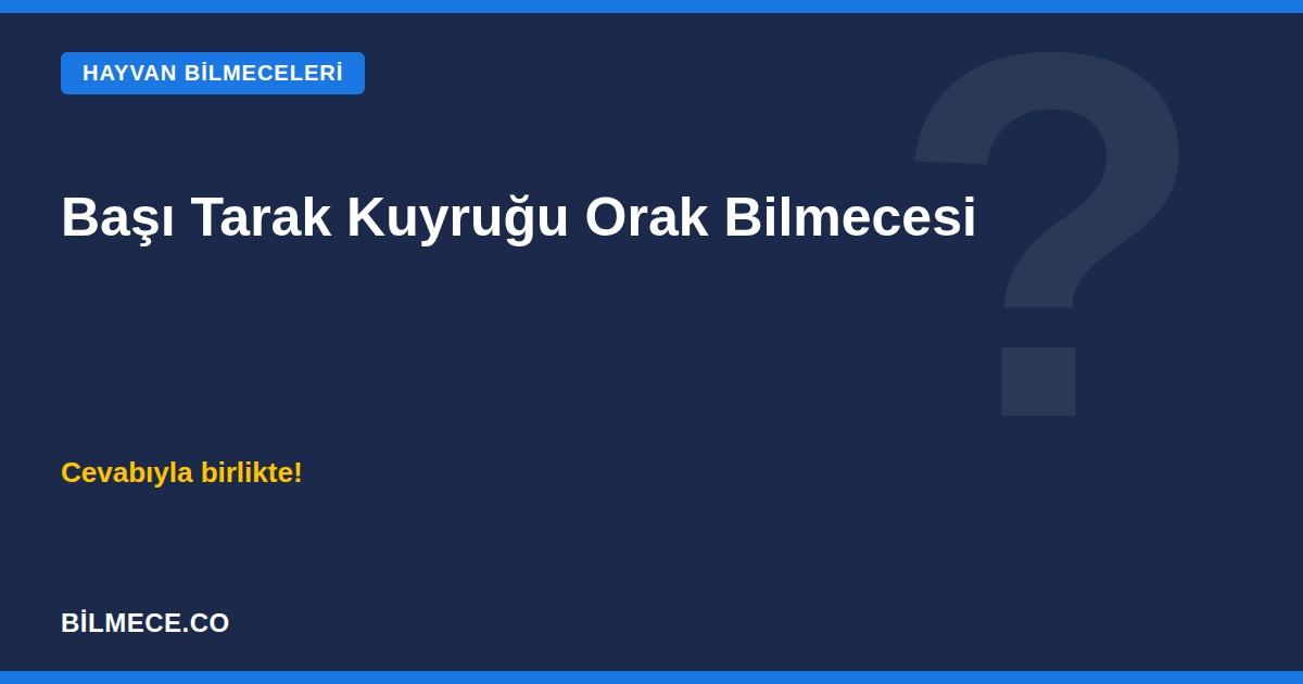 Başı Tarak Kuyruğu Orak Bilmecesi kapak görseli