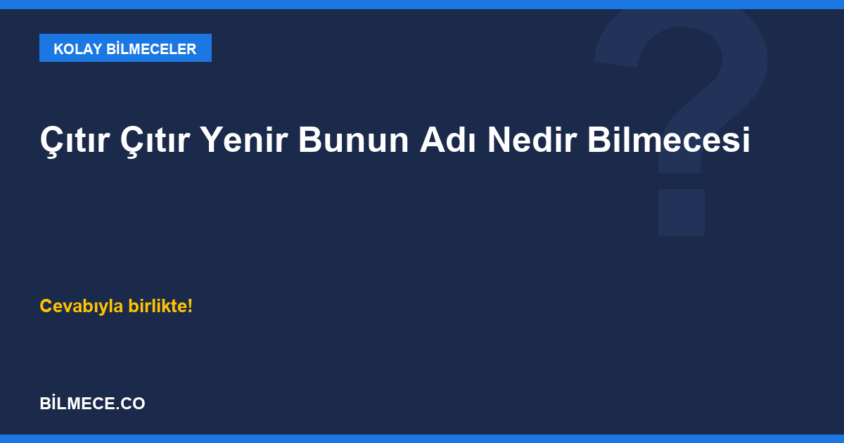 Çıtır Çıtır Yenir Bunun Adı Nedir Bilmecesi kapak görseli
