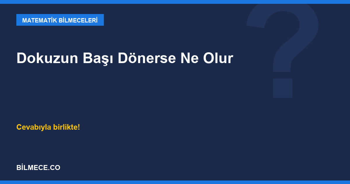Dokuzun Başı Dönerse Ne Olur kapak görseli