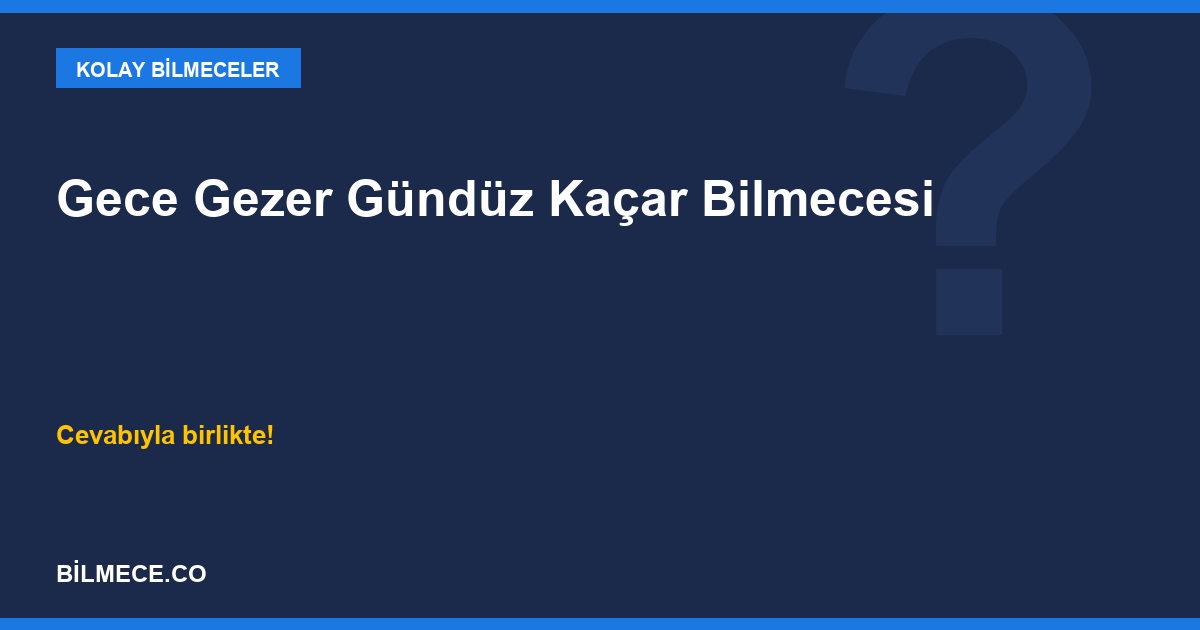 Gece Gezer Gündüz Kaçar Bilmecesi kapak görseli