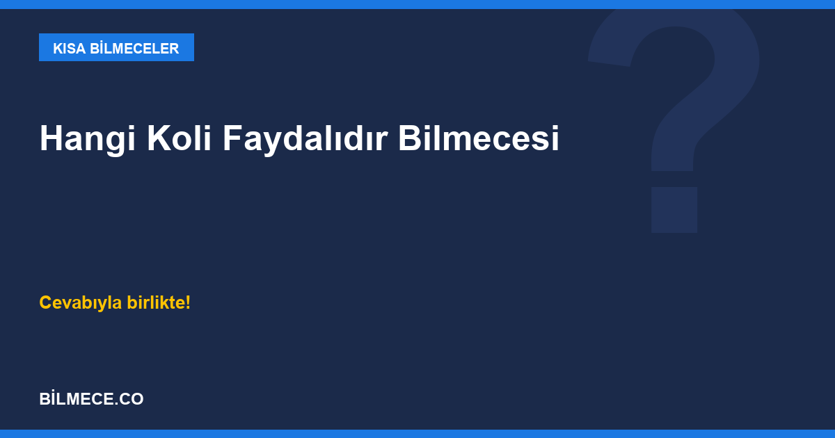 Hangi Koli Faydalıdır Bilmecesi kapak görseli