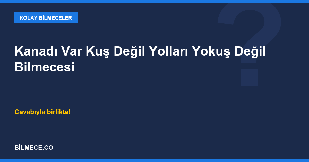 Kanadı Var Kuş Değil Yolları Yokuş Değil Bilmecesi kapak görseli