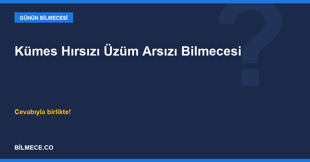 Kümes Hırsızı Üzüm Arsızı Bilmecesi kapak görseli