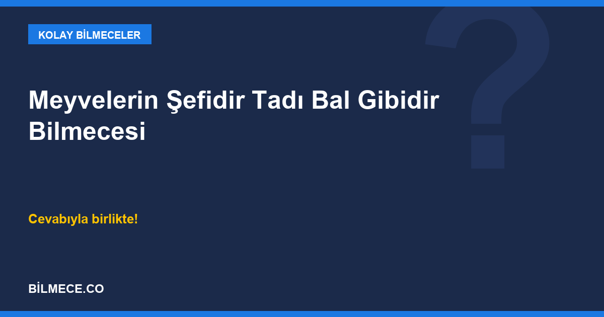 Meyvelerin Şefidir Tadı Bal Gibidir Bilmecesi kapak görseli