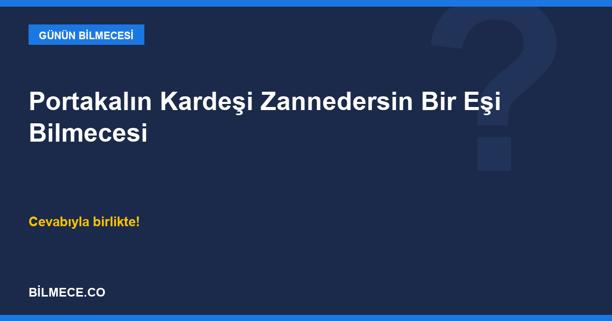 Portakalın Kardeşi Zannedersin Bir Eşi Bilmecesi kapak görseli