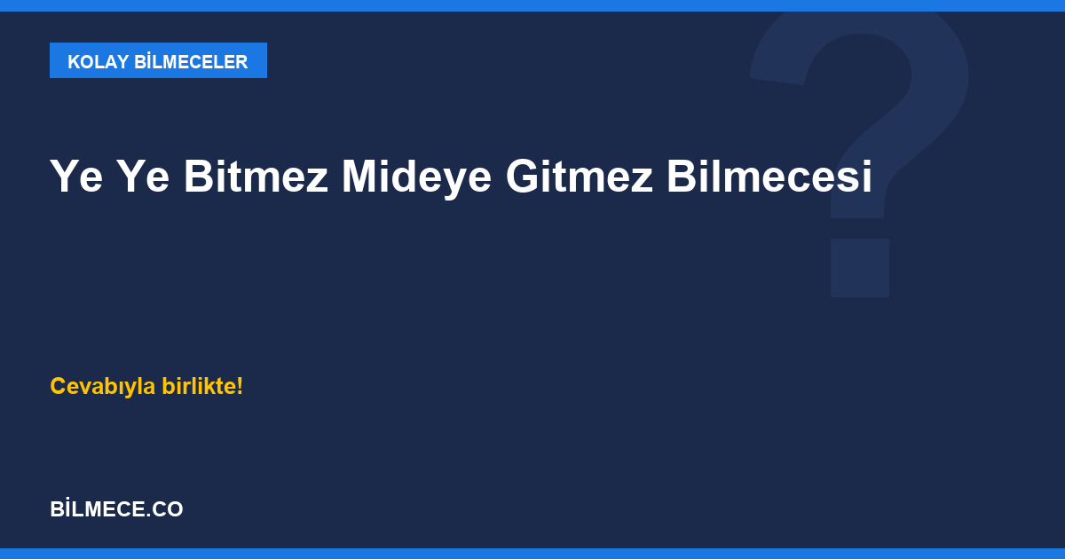 Ye Ye Bitmez Mideye Gitmez Bilmecesi kapak görseli