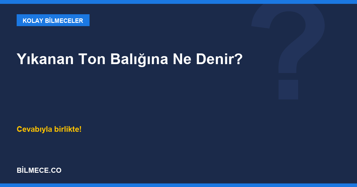 Yıkanan Ton Balığına Ne Denir? kapak görseli