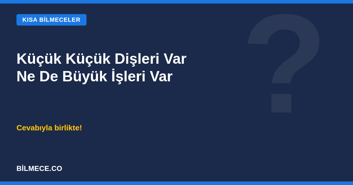 Küçük küçük dişleri var ne de büyük işleri var bilmecesi kapak görseli