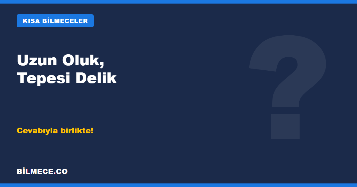 Uzun Oluk Tepesi Delik Bilmecesi kapak görseli