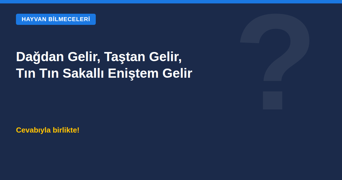 Dağdan gelir, taştan gelir, tın tın sakallı eniştem gelir bilmecesi kapak görseli