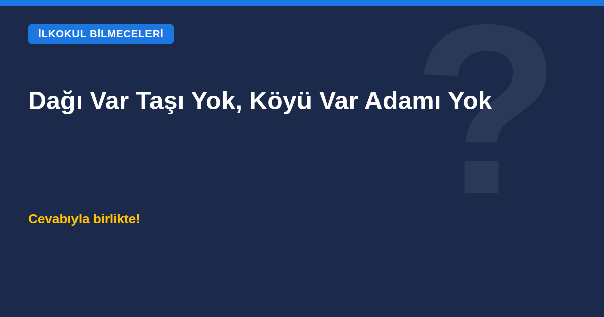 Dağı var taşı yok, köyü var adamı yok bilmecesi kapak görseli - İlkokul Bilmeceleri