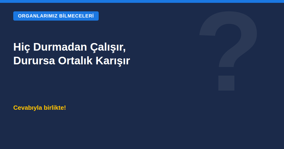 Hiç Durmadan Çalışır, Durursa Ortalık Karışır Bilmecesi kapak görseli
