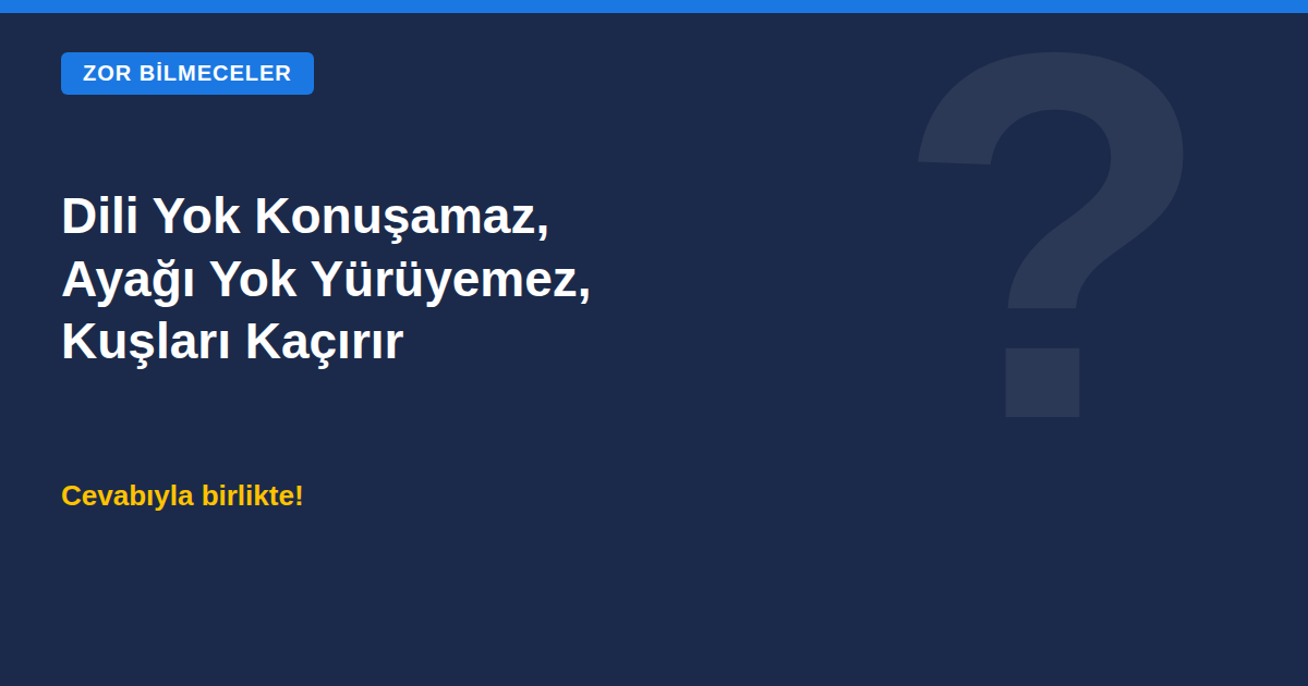 Dili yok konuşamaz, ayağı yok yürüyemez, kuşları kaçırır bilmecesi kapak görseli