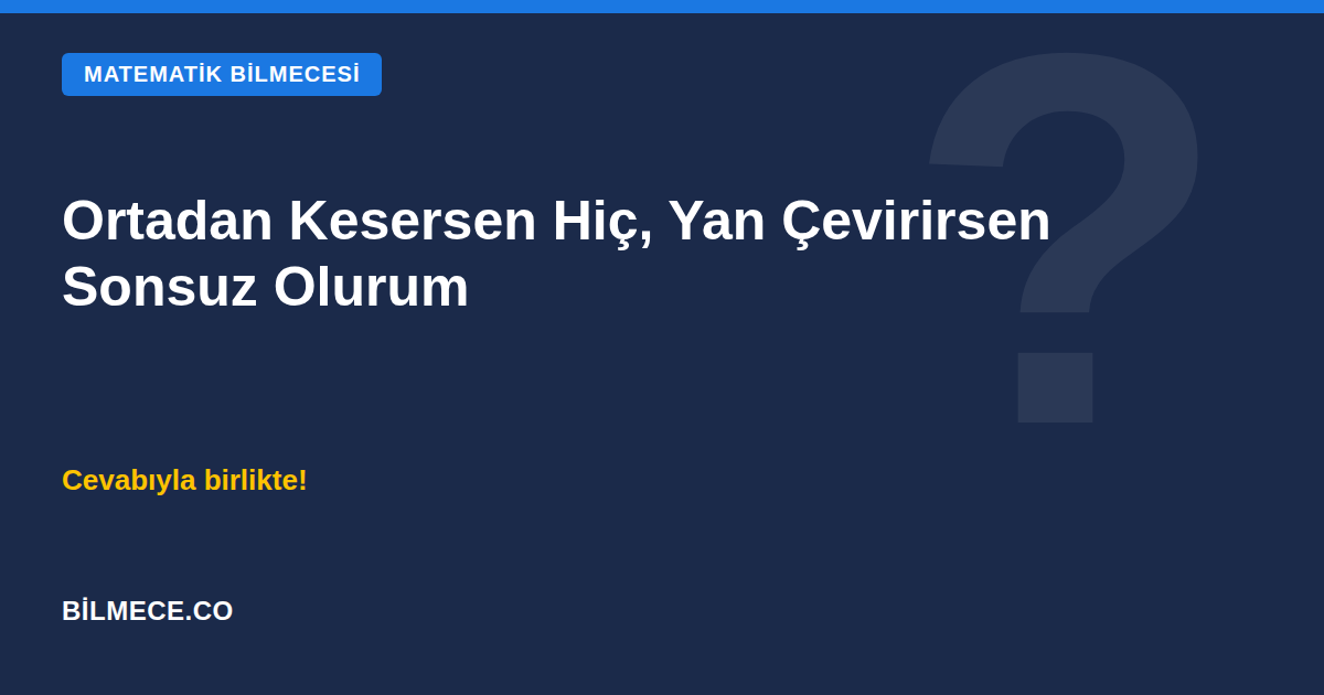 Ortadan kesersen hiç, yan çevirirsen sonsuz olurum bilmecesi kapak görseli