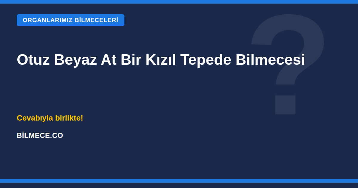 Otuz Beyaz At Bir Kızıl Tepede Bilmecesi kapak görseli