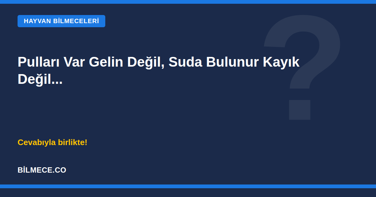Pulları var gelin değil, suda bulunur kayık değil bilmecesi kapak görseli