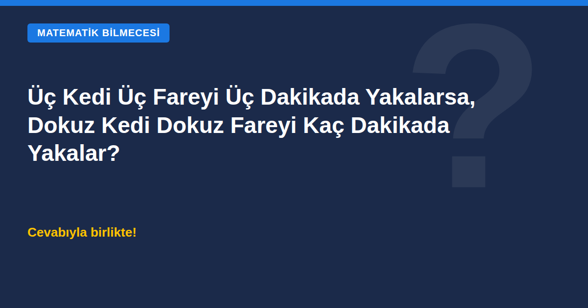 Üç kedi üç fareyi üç dakikada yakalarsa dokuz kedi dokuz fareyi kaç dakikada yakalar bilmecesi kapak görseli
