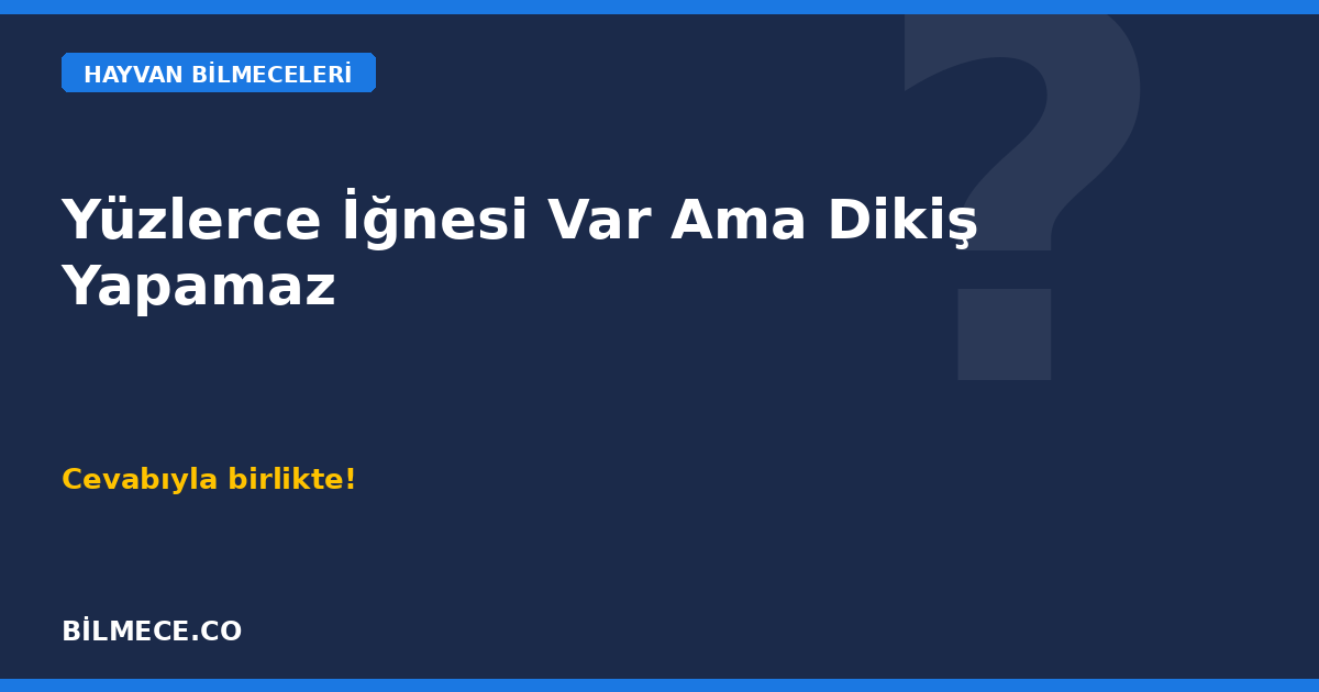 Yüzlerce iğnesi var ama dikiş yapamaz bilmecesi - Kirpi