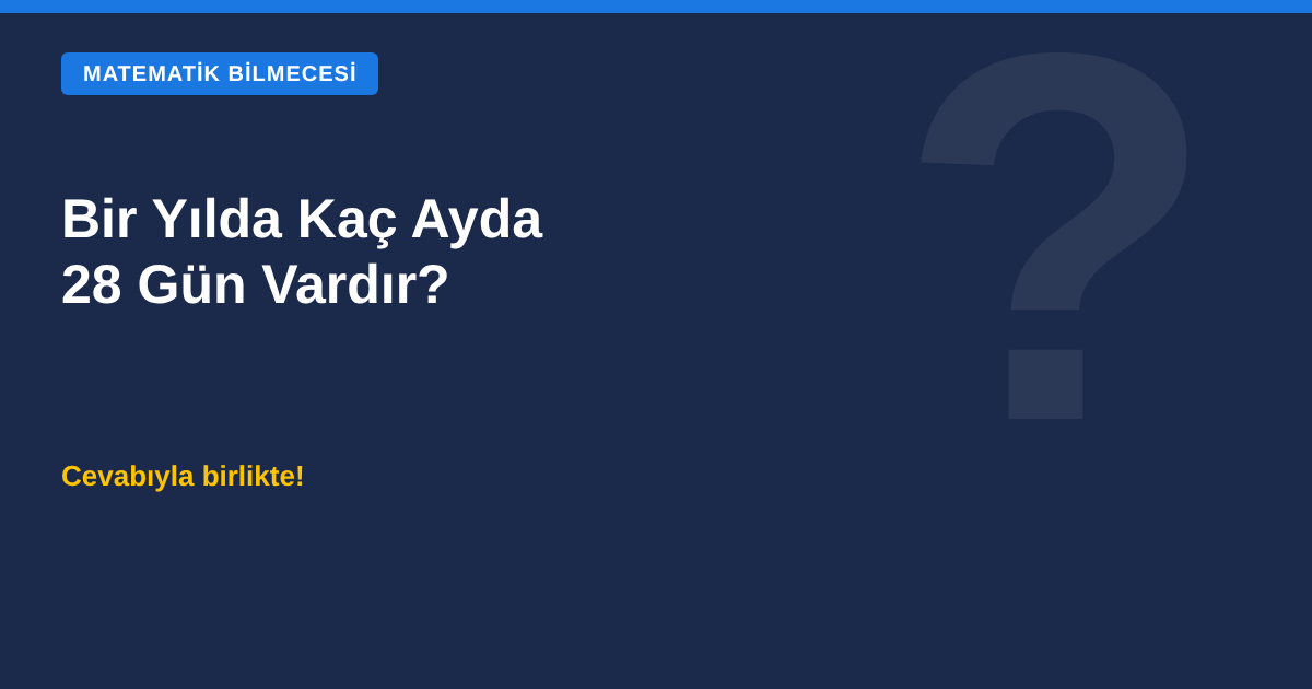 Bir yılda kaç ayda 28 gün vardır bilmecesi kapak görseli