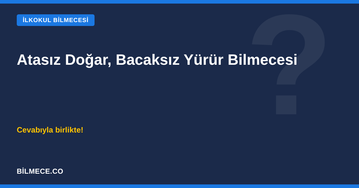 Atasız Doğar Bacaksız Yürür Ağzı Var Konuşmaz Bilmecesi - Cevabı Nehir