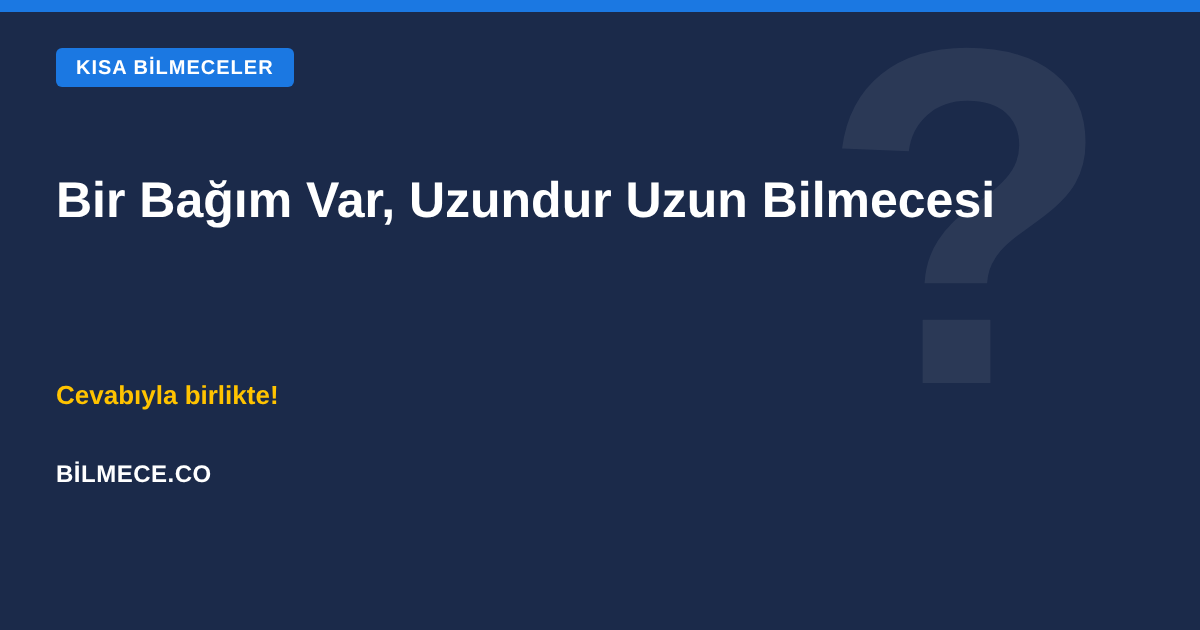 Bir Bağım Var, Uzundur Uzun Bilmecesi kapak görseli
