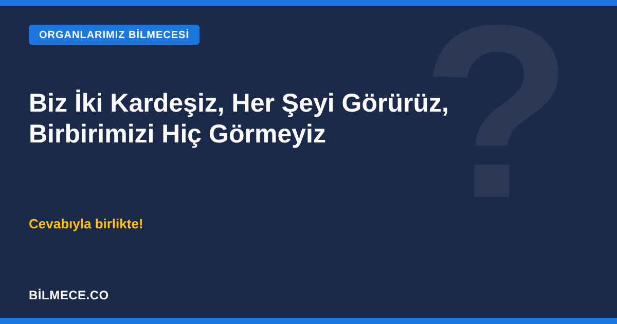 Biz iki kardeşiz, her şeyi görürüz, birbirimizi hiç görmeyiz bilmecesi kapak görseli