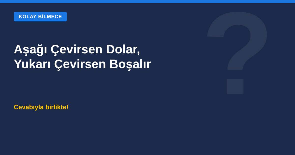 Aşağı çevirsen dolar, yukarı çevirsen boşalır bilmecesi kapak görseli