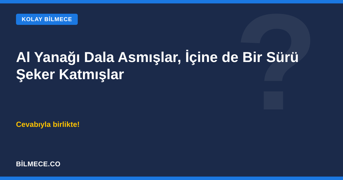 Al Yanağı Dala Asmışlar, İçine de Bir Sürü Şeker Katmışlar bilmecesi kapak görseli