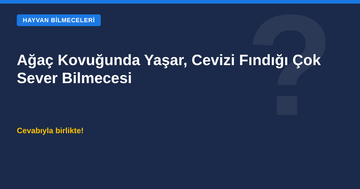 Ağaç kovuğunda yaşayan, ceviz ve fındık seven sincap bilmecesi kapak görseli