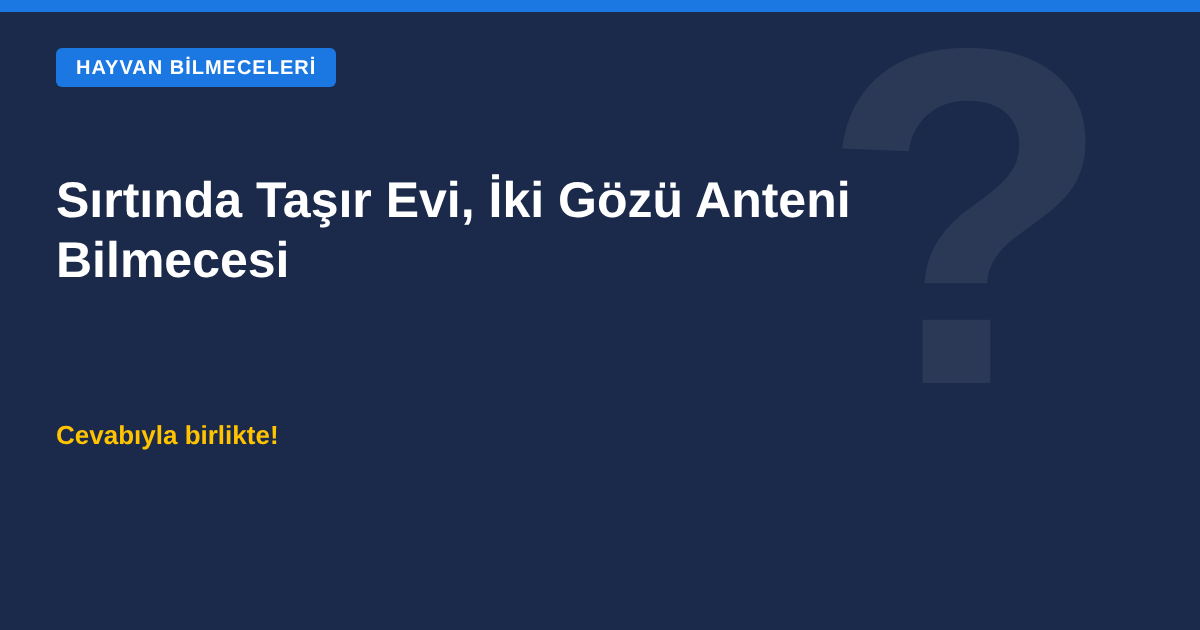 Sırtında taşır evi, iki gözü anteni bilmecesi kapak görseli