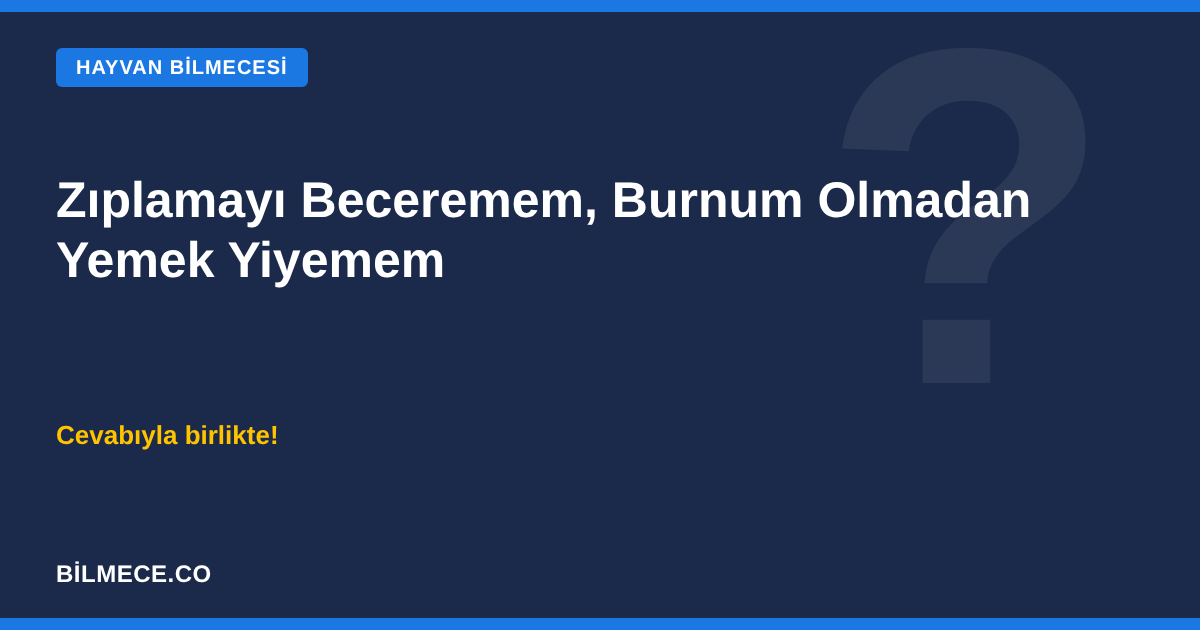 Zıplamayı beceremem, burnum olmadan yemek yiyemem bilmecesi kapak görseli